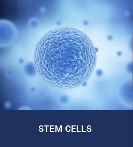 The Stem Cell Institute of Texas